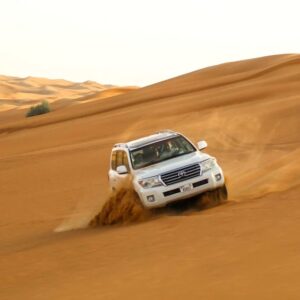 Desert Safari – 4 Hours