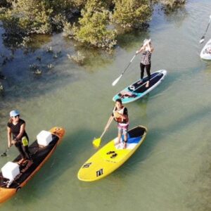 Paddle – Purple Island